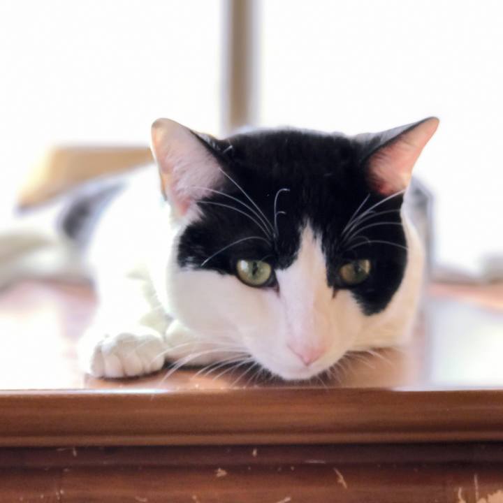 7172b785 a373 43e3 9967 8f5bf193fe3d