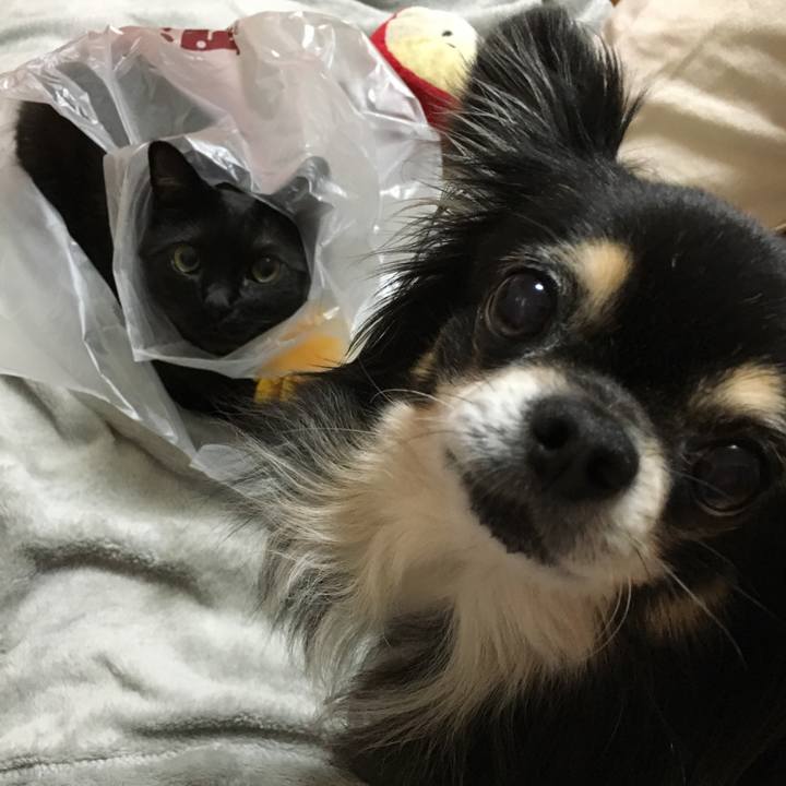 7172e9b5 d91d 47b4 b974 0f19138d06d8