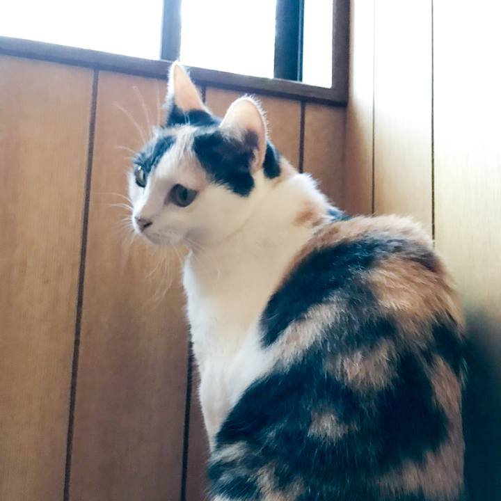 7173bd46 c19b 4df0 a6ee 1db3e3f5f37a