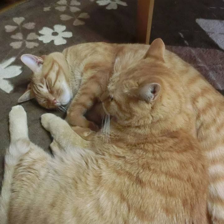 7174fb7c 07cd 4620 ba7b ee20681ad573