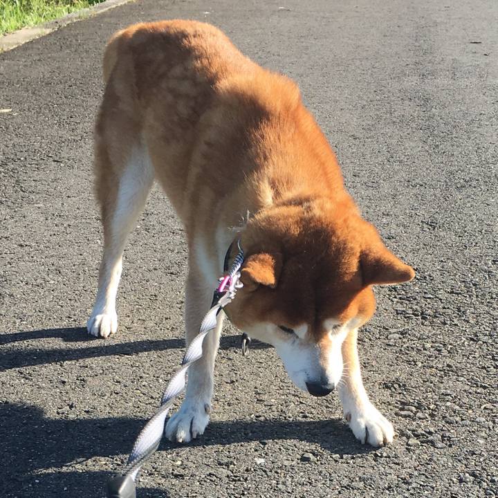 7175198e d0dd 4c26 9a08 0dca0b56be11