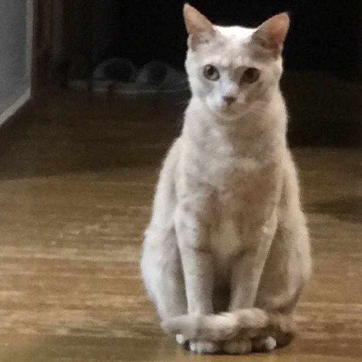 717526f8 171d 4749 bfce 52493a5642b1