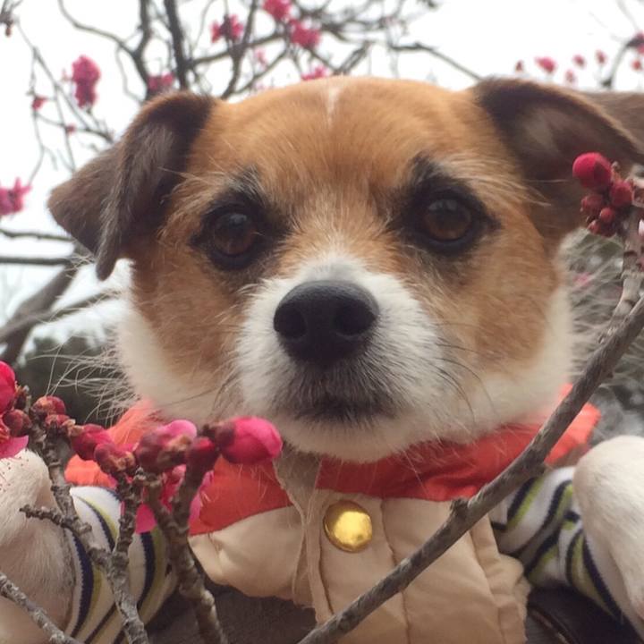 71758167 6781 4413 a952 a8f16a720b2d