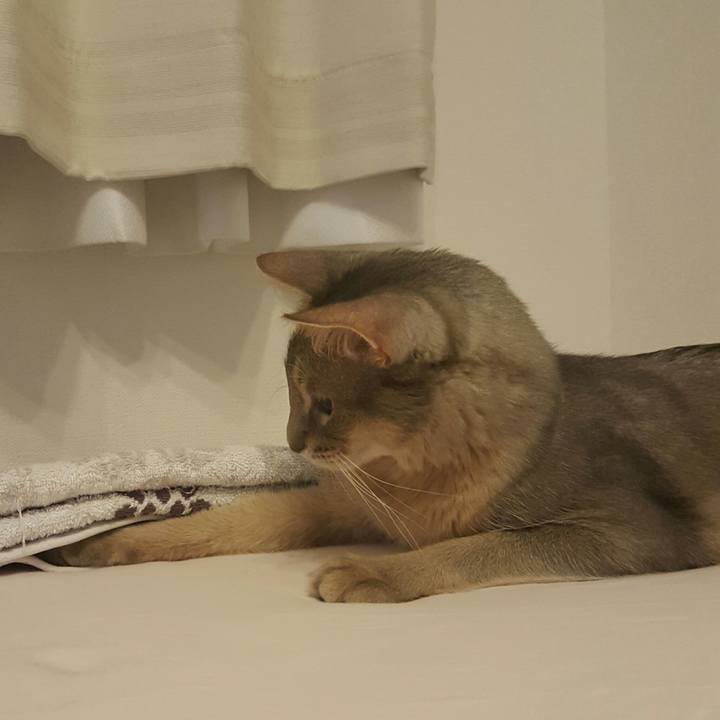 717614b2 959c 4f70 82e8 046a505c0952