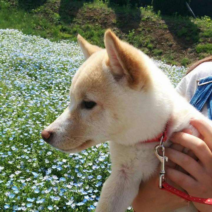 71763531 c545 41fd 87e5 908dbc68c85f