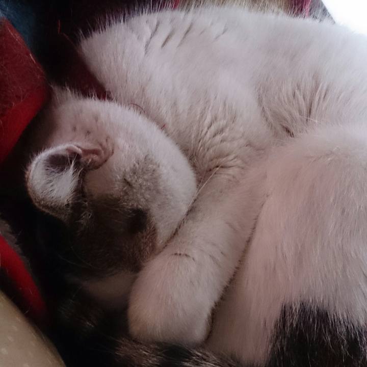 7176512d 2f97 439f b094 ba3ba4e4a47d