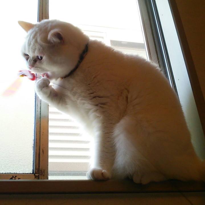 7176cf65 6bea 44d8 8353 67f4044375ee