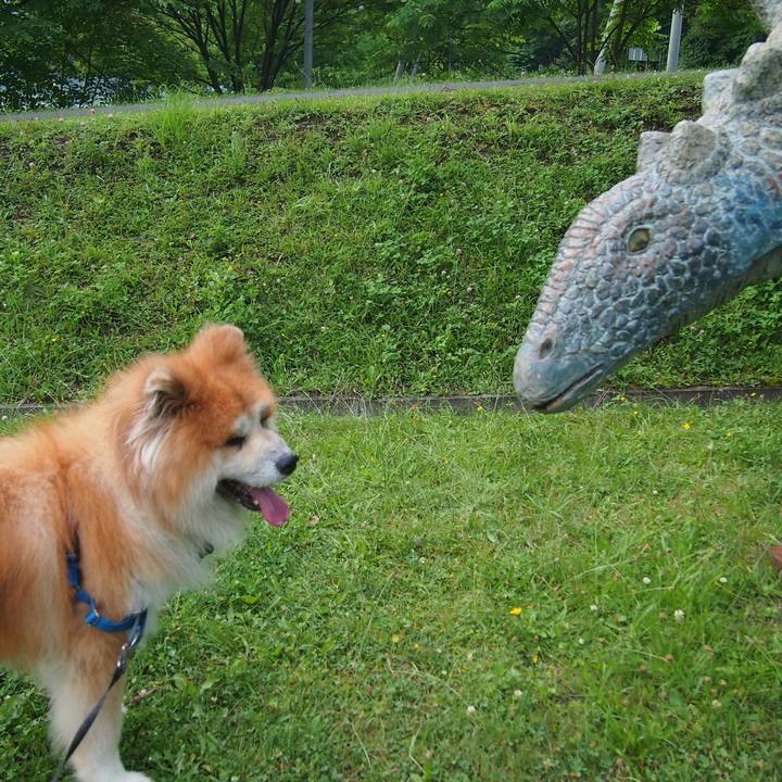 71773c51 37e5 47f6 86cb c4ac9aec2972