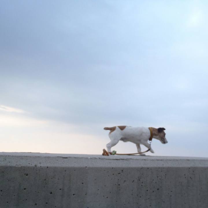 7178d71b 98fd 4931 b5c5 a08a4d3aa6b4