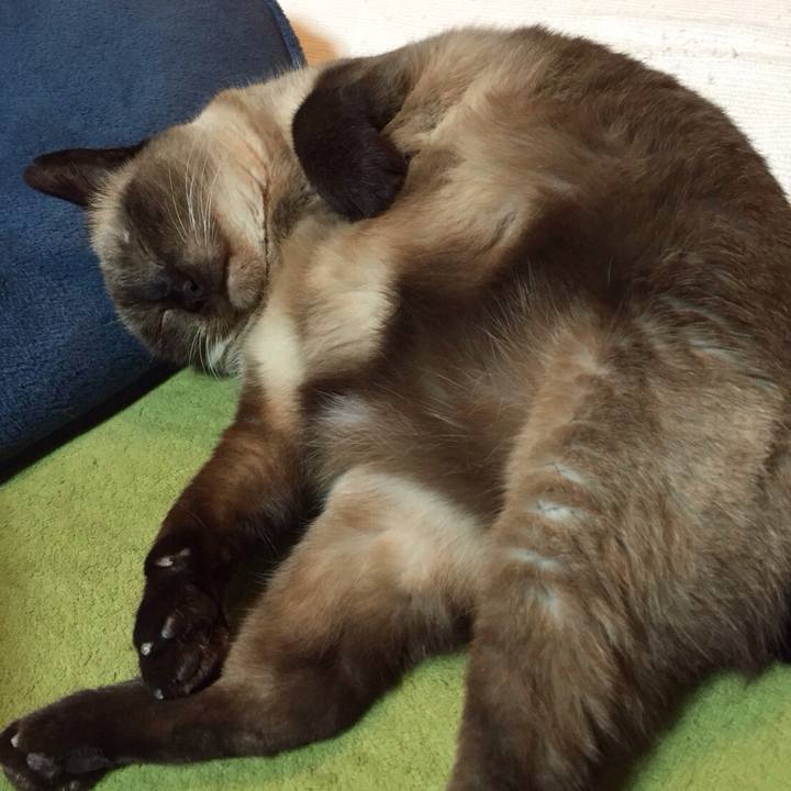 7179482f de79 4364 84f9 180ff8cd6fe4