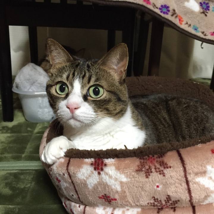 717993f3 22c6 4710 b7f4 505c7f9fb561