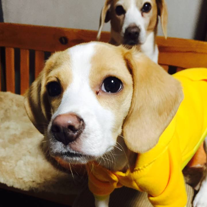 717a4098 3aa3 4e63 a158 cb566d401ccb