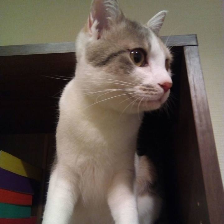 717ab75e dd0e 430d 8fba a9492d03e40c