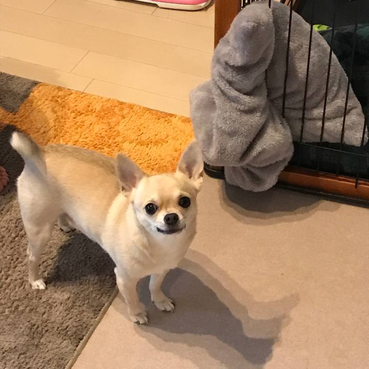 717ac83b 97a5 4426 a7ba c500bf46c633