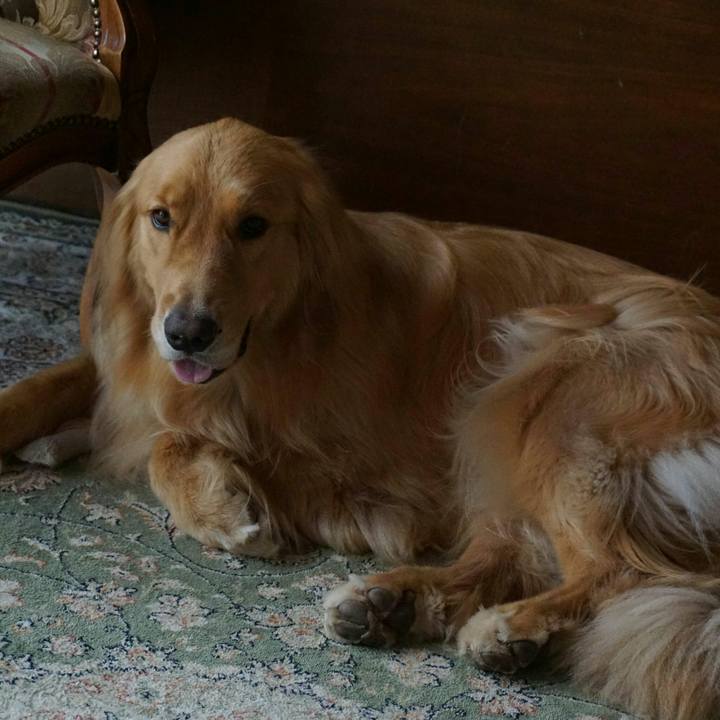 717adb74 d646 4069 ac07 858a6de958cb