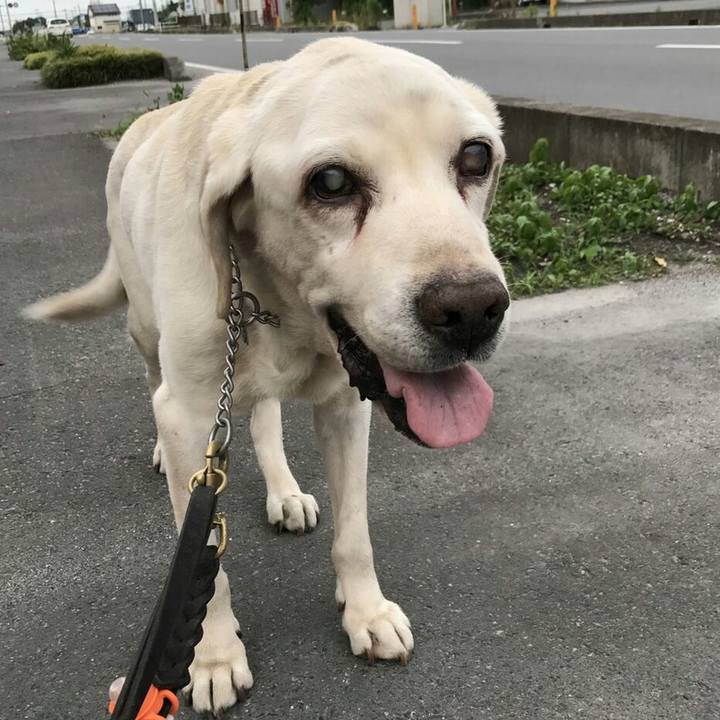 717adf3a 5885 4fc9 926a 30f47acfeec8