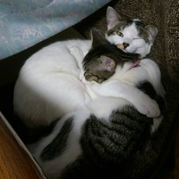 717afb0e 795d 4630 863f 9b069fc29dab