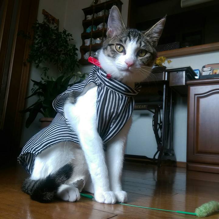 717b3a8d 35df 47d2 a554 904a1c4e51a3