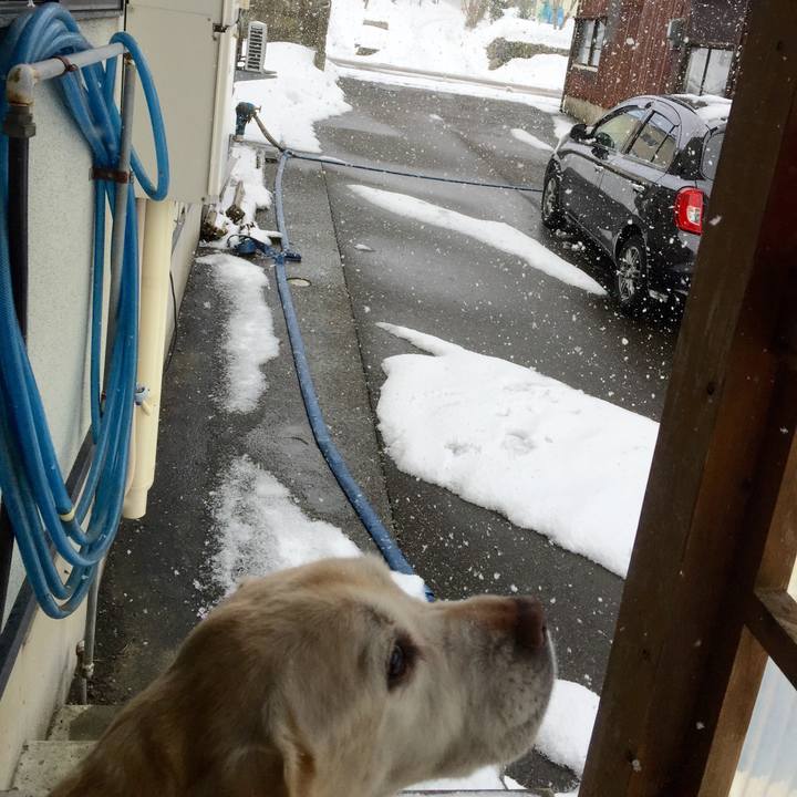 717b6705 40ba 4a3d 89fb 8ea2a1f8c0dd