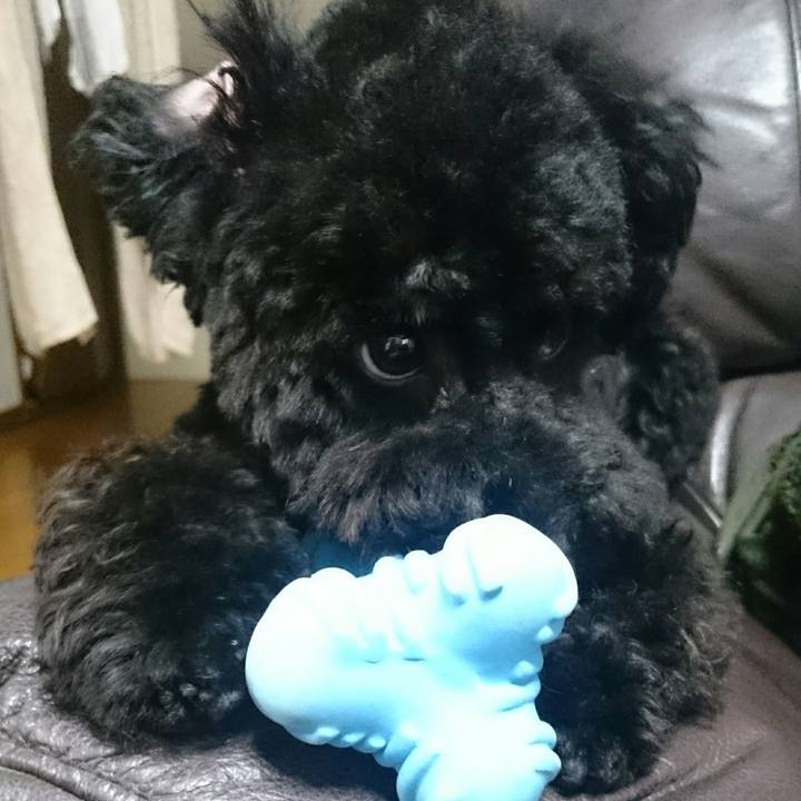 717c701d c753 4e22 b1c4 24c484c37a77