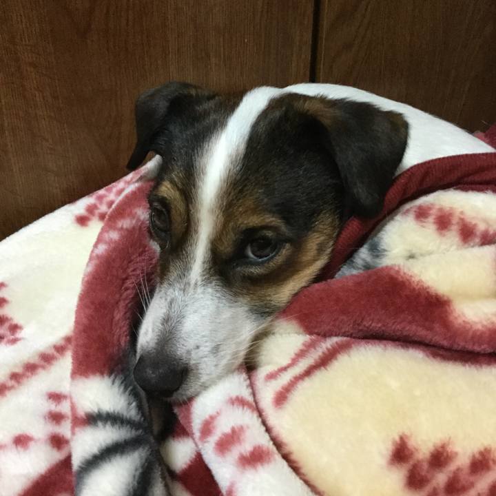 717c7591 89d4 40ee 8ecc 952418c4b570