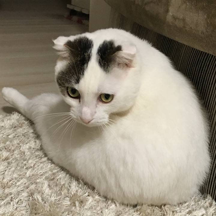 717cb018 aead 4887 938a 1009d8a56c16