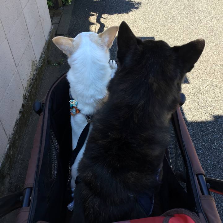 717d2e7f a357 4fc0 b243 104767c50d7e