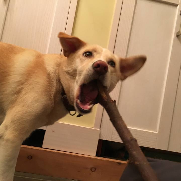 717dfcb9 9a44 4ec0 a0bf 09c83a32f8b0