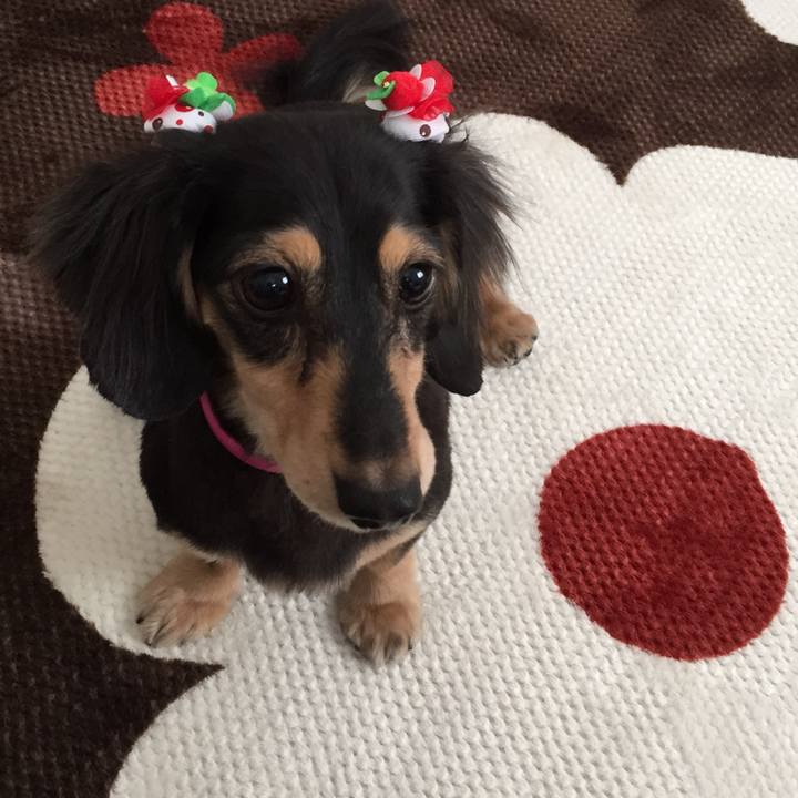 717e2ca0 e583 4e7c 861a 2a474e429e09