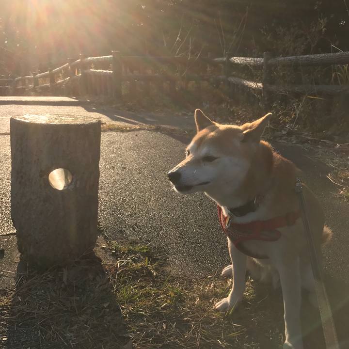 717e4d1a 41f9 4eec bbbb bd907b7b4617