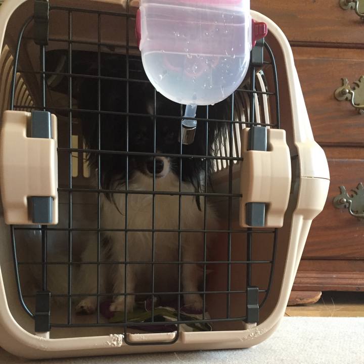 717efc24 1b0c 4b8a b874 0a788a2526b5