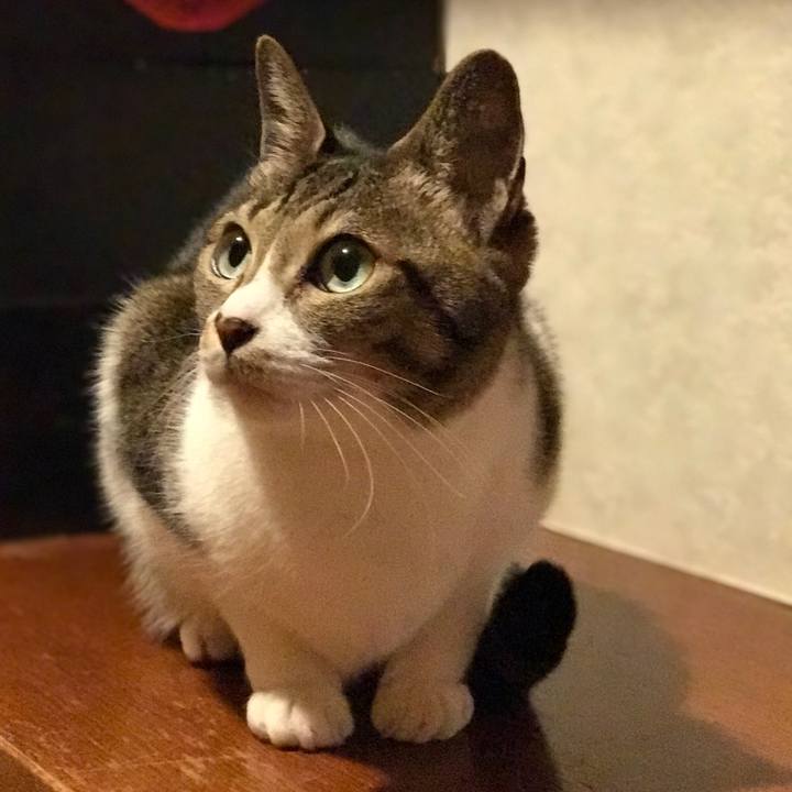 717f17f1 9518 4549 96ee 572bb79e523a