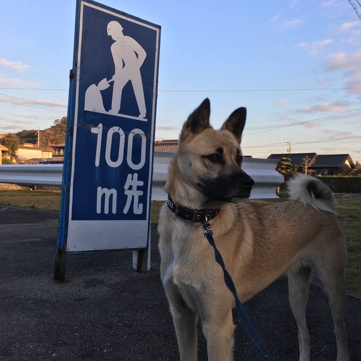 717fc3c0 1a7a 4dfa a11d 8ec8ba4156ee