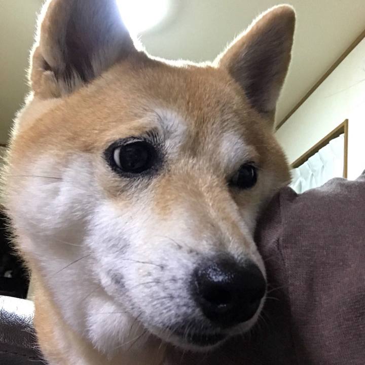 71806f43 84b7 4f2f 917c 4f3884ff6870