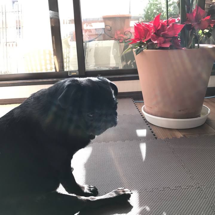 7180774f 649a 4b28 a025 6dba0ed58866