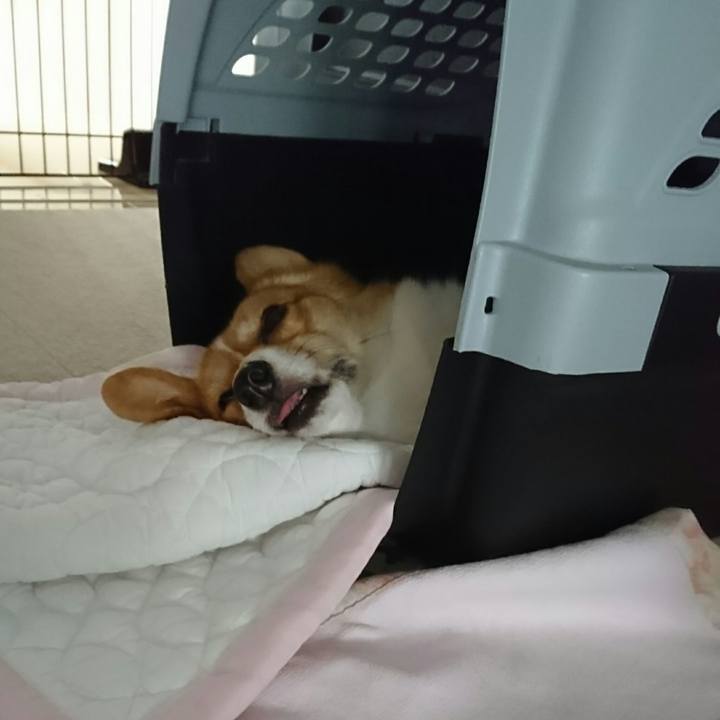 718194ed cc16 4fde b380 63fdc22ab500