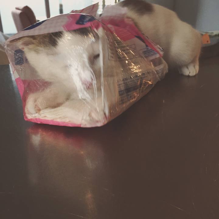 7181d1ff 41a2 4276 b83d 942724d2eac8