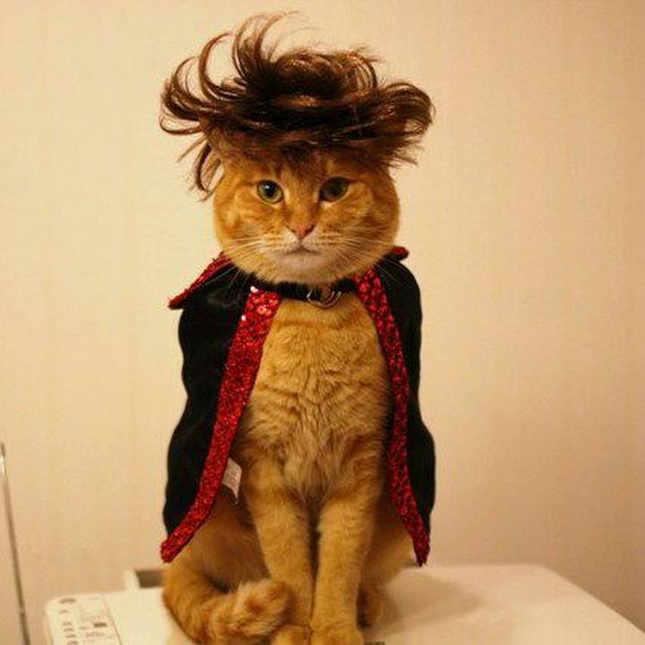 71821b5a b4ef 4f28 8d95 354f5ead30ea