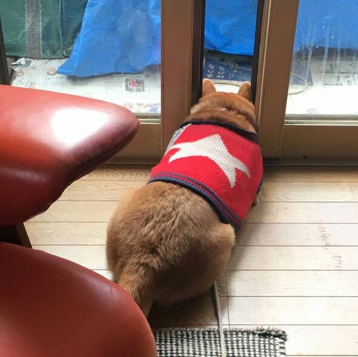 71824b3d 8d17 4c8d 8c4d 008c21b2cce6