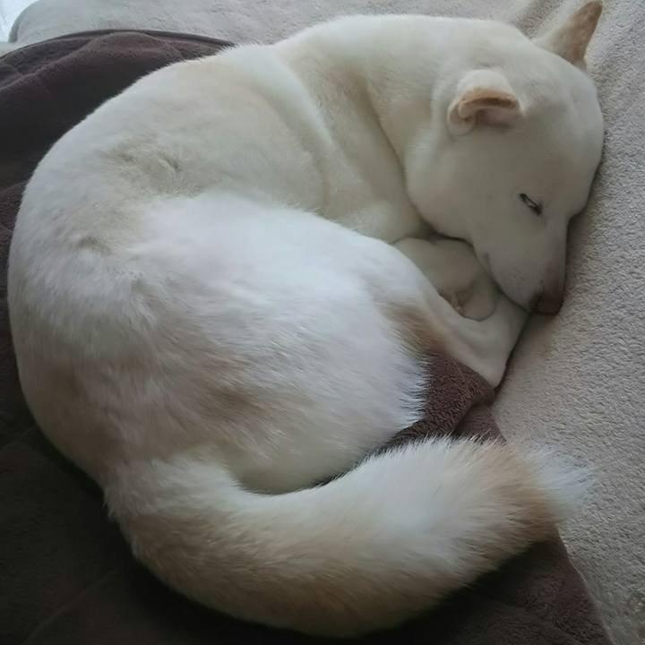 7182a0b5 7f37 440d ab70 ad61c87a56d0