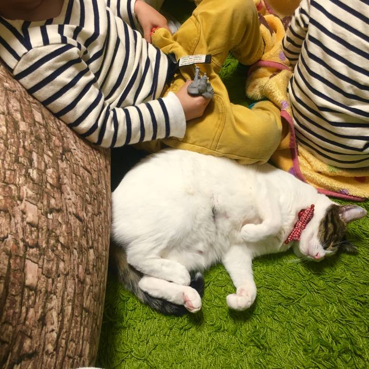 7182c49f 6c92 4d1c 9641 5d06d82ca393