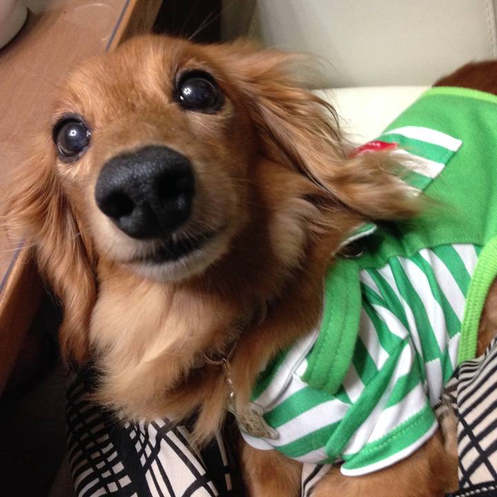 7182cc52 478e 41be 99be b406dc1681de