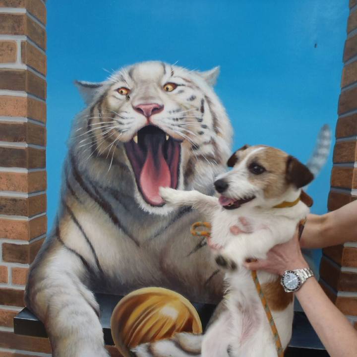 71838acf efd9 4d01 abe3 b530bbd3b075