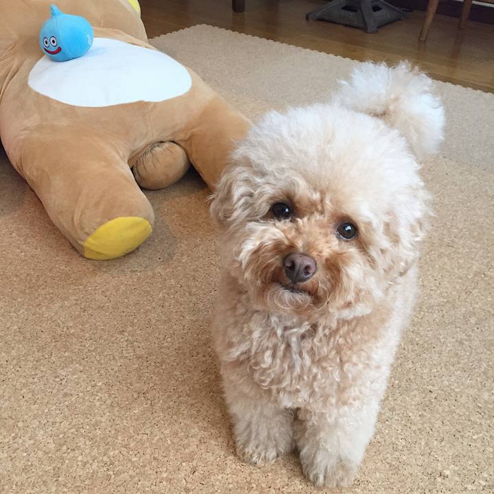 71839bd5 3a65 48f2 8220 15888cebc79c