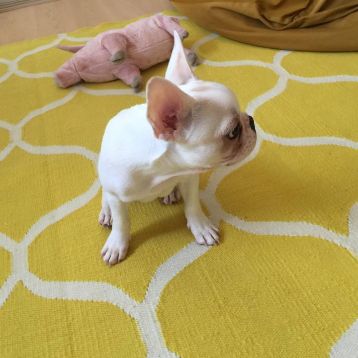 71856578 8055 4800 866e 5744f5dbb639