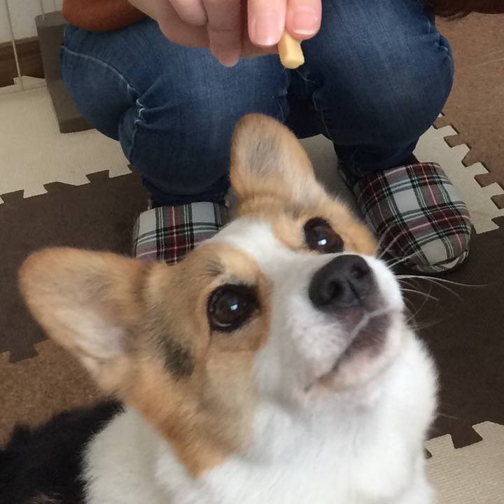 718693d6 aec1 429c bc02 7f6a3490e409