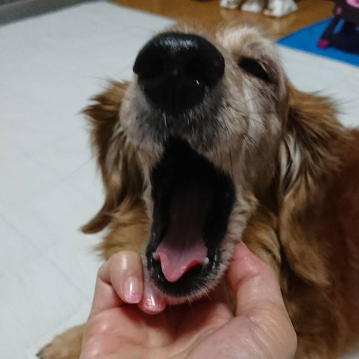 7186fc34 847a 4ede b75f d6605bccd74e