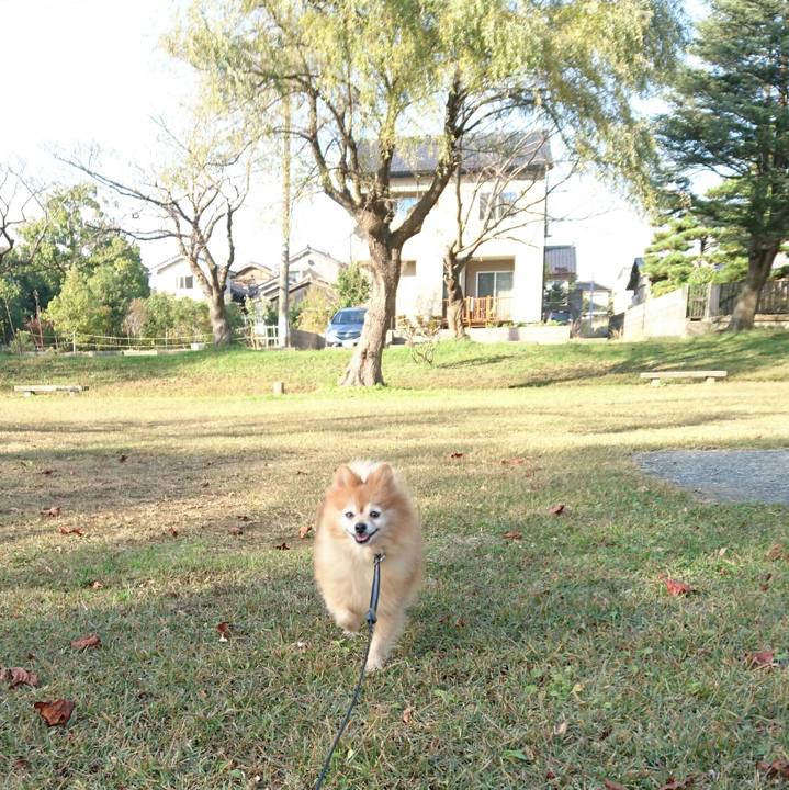 71872fb7 1c01 4870 ad50 4d8ad2712e63