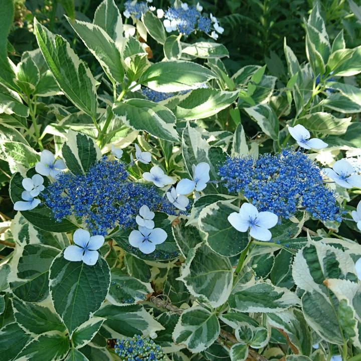 71877622 0a4f 45e0 ae73 5d0807cfc721