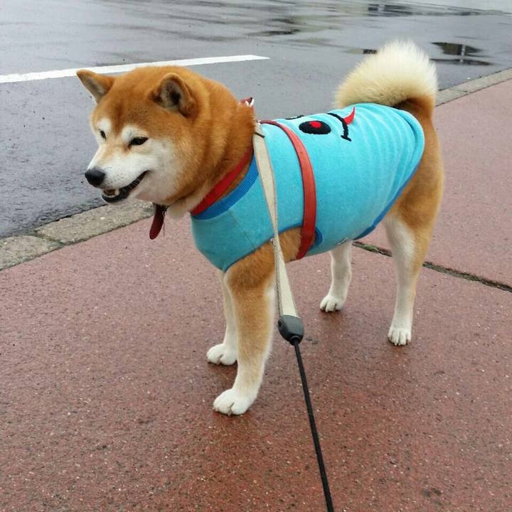 7187db01 eab0 449a a65b 287753343d89